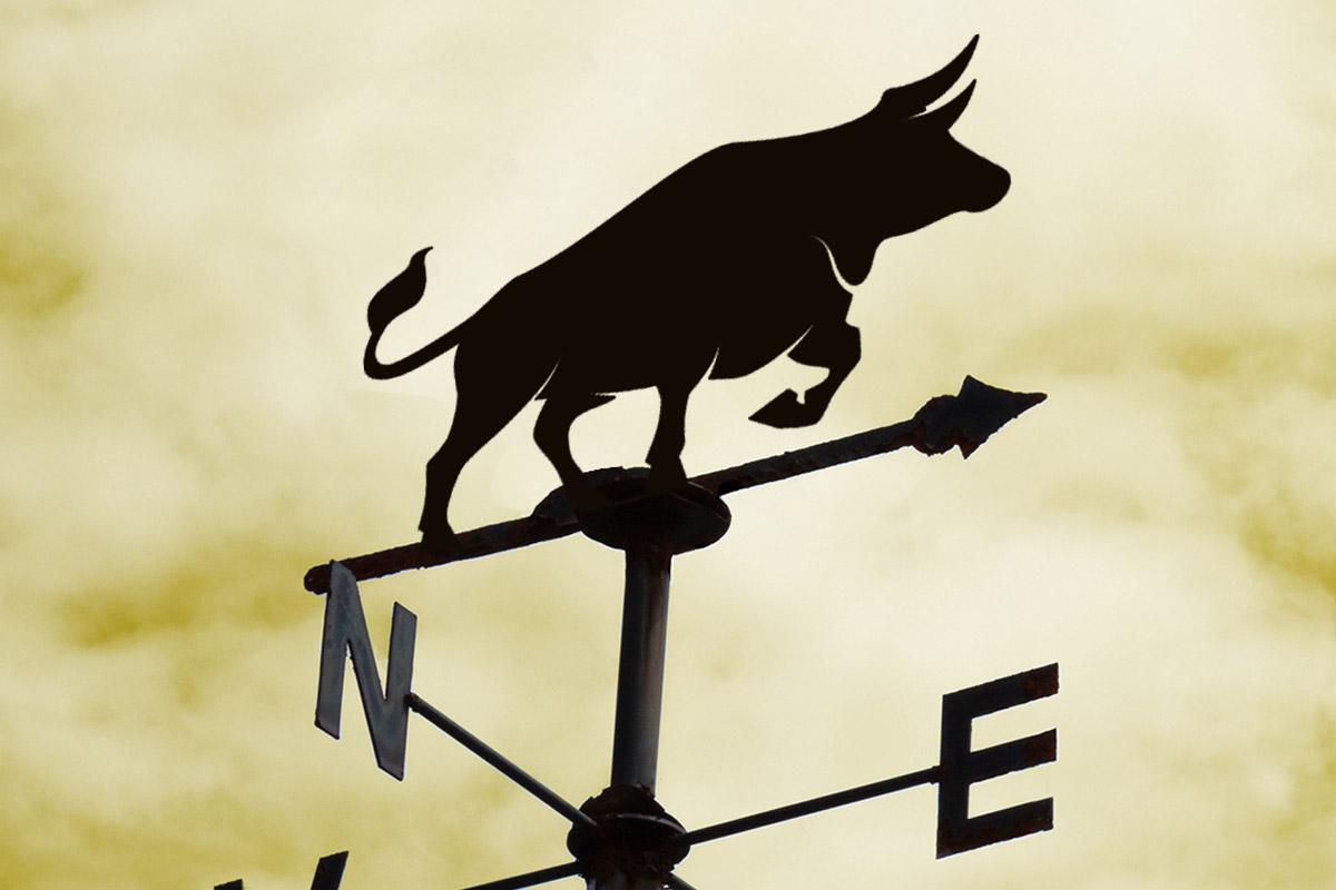 If It Feels Like a Bull Market, Is It a Bull Market?