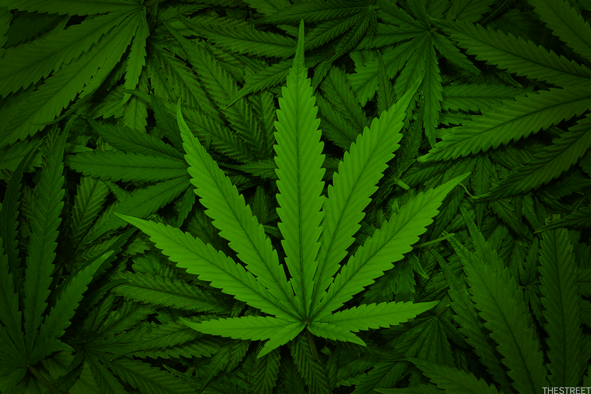 Growing Marijuana Indoors: Any