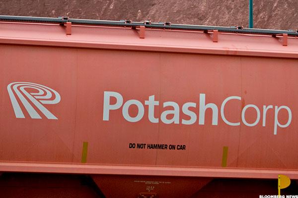 potash corp stock options