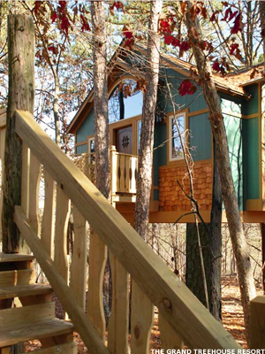 7 Cool Tree House Hotels  TheStreet