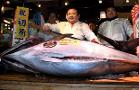 Someone in Japan Paid a Mind-Blowing $624,000 for a Giant Tuna, and That's a Great Economic Sign