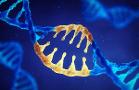 Crispr Therapeutics Gets an Upgrade but Needs Help on the Charts