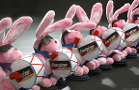 Energizer Holdings Charts, Quantitative Rating, Point the Bunny Higher