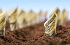 20 Mid-Cap Dividend Growers Are Blips on My Tracking Radar
