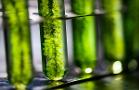 Glimmers of Hope in the Biotech Realm as M&amp;A Activity Picks Up