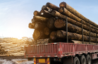 Knock on Wood: West Fraser Timber Stock Could Climb 45% From Here