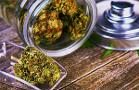 Cannabis a Rising Star in Morningstar Mag