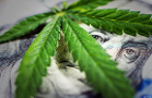 Capital Raising in Cannabis Falls 67%