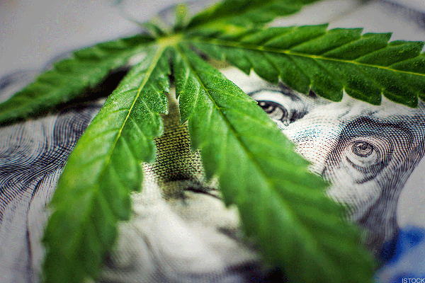 How to Invest in Cannabis - In Its Many Forms