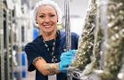 After Smoke Clears, Pot Industry Could See M&amp;A Activity Light Up
