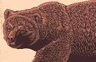 3 Bear Market Stocks for Steady Dividends