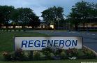 Regeneron's Pullback Amid Market Weakness Could Lead to Buying Opportunity